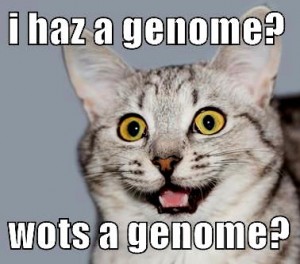 Manx cat genome pic]